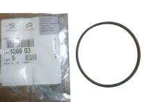Dichtung Pompy Wody Neues Original 1206.G3 1206G3 Citroen Peugeot