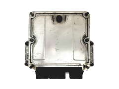 Steuergerät 0281011394 9640938180 9653184380 30213