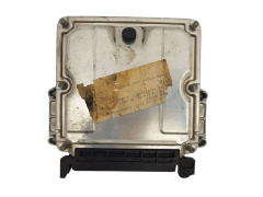 Steuergerät 0281010166 9636255980 28FM0000 PSA Bosch 2905