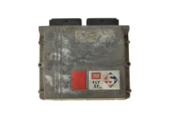 Steuergerät LPG 67R011002 110R001001 031001 FLY SF BRC 15722