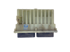 Steuergerät 24410130 15396912 Opel GM Delphi 54391