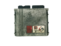 Steuergerät LPG 67R011002 110R001001 FLY SF BRC 33593