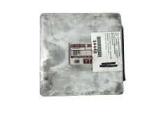 Steuergerät 90356863 Opel GM 21815