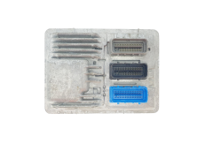 Steuergerät Opel 12680881 12669908 811839393 Delphi GM 43365