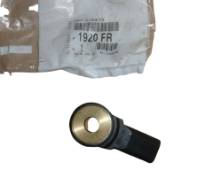 Klopfsensor Original Citroen Peugeot C2 C3 206 1920FR