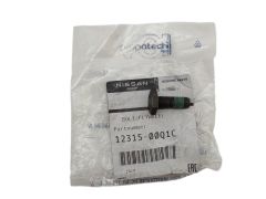 Schraube Original 1231500Q1C 123156846R Renault Nissan