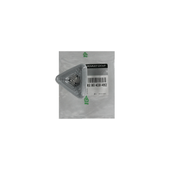 Blinker Original Renault Kangoo II 8200439492
