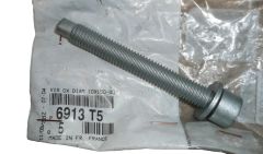 Schraube 10X150-80 Neues Original 6913.T5 6913T5 Citroen Peugeot