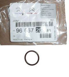 Dichtung Wtrysku Neues Original 9666725880 Citroen C5 C6 3.0 HDI