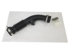 ren8200218988