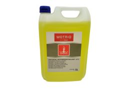 Kühlmittel Original Renault Nisssan AntiFreeze 5 L 8660006880