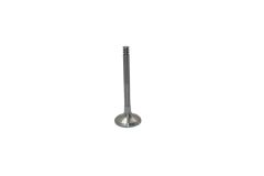 Auslassventil Für VW Audi Seat Skoda 038109611F B19012 Borsehung