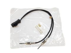Abgastemperaturgeber Citroen Peugeot 9807562780 QPlus