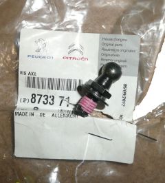 Schraube Siłownika Klapy Neues Original 8733.71 8733.71 Citroen C1