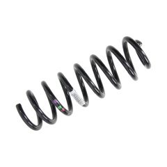 Fahrwerksfeder Hinten Original 550205576R Renault