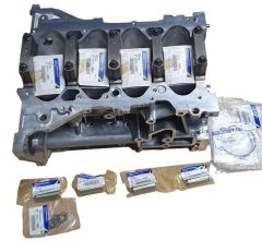 Motorblock Neues Original 2.0 16V 110107443R Renault