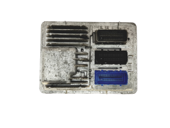 Steuergerät 12666191 811839393 Opel Delphi