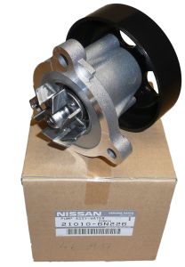 ren210106n226