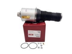 Stoßdämpfer Vorne Links Für VW Phaeton 3D0616039AB 66160001701 Vika