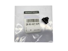 Scheibenwaschdüse Vorne Neues Original 289306782R Renault