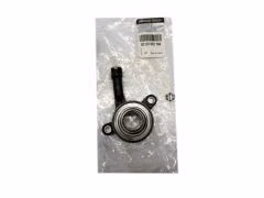 ren8200902784