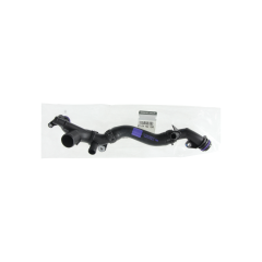 Kühlerschlauch Neues Original 210473278R Renault Dacia