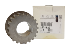 Zahnrad Nockenwelle Citroen Peugeot 0513A9 0513.A9 Original