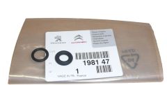 Dichtungen Wtrysku Neues Original 1981.47 198147 Citroen Peugeot