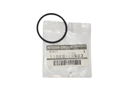 Dichtung Renault 1102600Q0J 144653767R Original