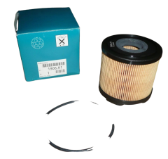 Kraftstofffilter Original Citroen Peugeot 206 306 406 2.0-2.2HDI 1906A1