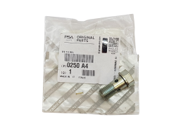 Schraube Citroen Peugeot Fiat 0250A4 0250.A4 Original