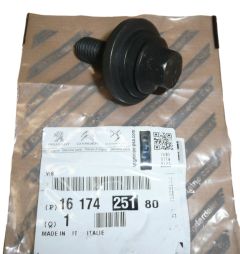 Schraube Wałka Rozrządu Neues Original 1617425180 Citroen Jumper 3 Peugeot Boxer 3
