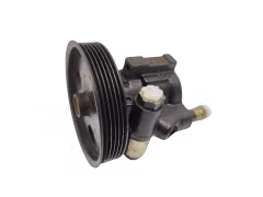 Pumpe Für Servolenkung 8200888500 8200246248 7700419117 1.4 1.6 Renault