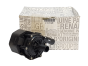 Wasserpumpe Renault 210101348R Original