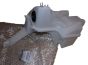 Wischwassertank Neues Original 289105440R Renault