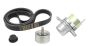 Keilriemenspanner Original Ren Master Laguna Espace 2.0-2.3 dCi 8200941086