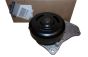 Wasserpumpe Neues Original 210102662R Renault Dacia