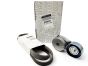 Keilriemenspanner Original Renault Megane Scenic III 2.0 16v 117206170R