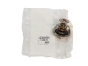 Thermostat Citroen Peugeot 2.0 HDI 133823 Neues Original