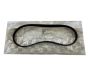 Antriebsriemen Neues Original 5750TE 5750.TE Citroen Peugeot 6PK1070
