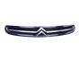 Kühlergrill 7804J7 9632099177 Citroen Xsara Picasso 99-03 1013