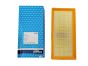 Luftfilter PURFLUX A1566 9650188680