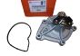 Wasserpumpe Original 1637171880 Citroen Peugeot