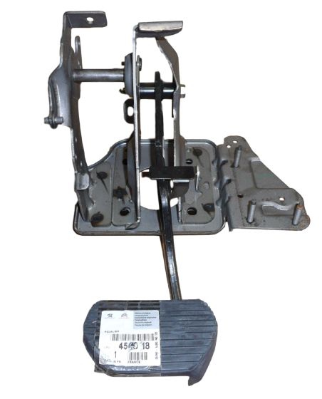 psa450018