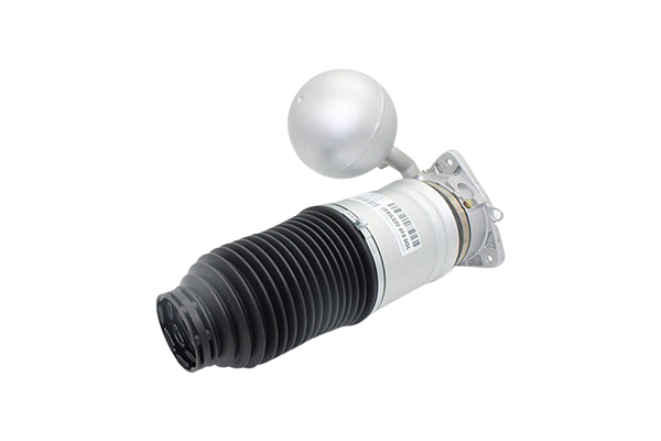 Stoßdämpfer Links Hinten Für VW Phaeton 3D0616001F 66160001901 Vika main product photo