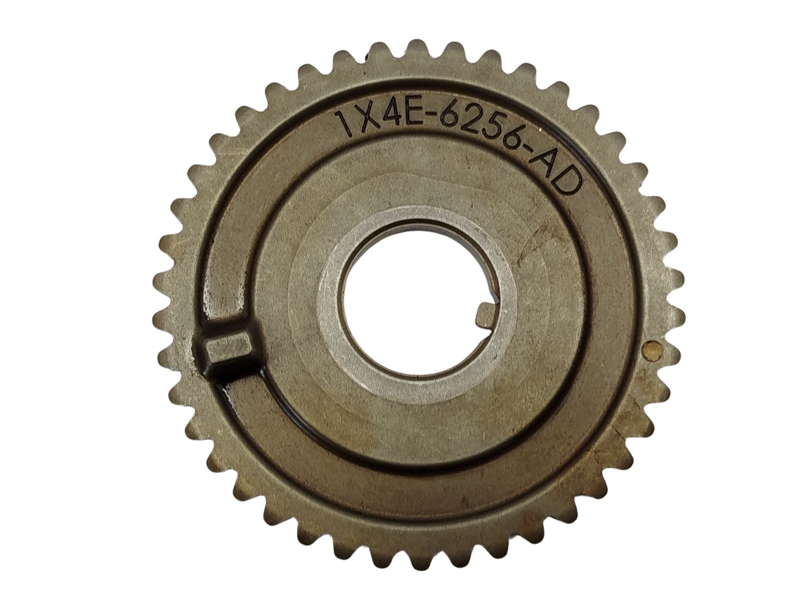 Zahnrad Nockenwelle Jaguar 1X4E-6256-AD 2.5 V6 main product photo