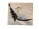 Kupplungszylinder Original 306100482R Renault