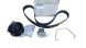 Keilriemenspanner Original 117200277R Renault Dacia